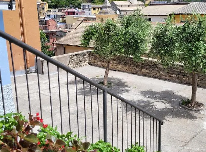 Il Timone