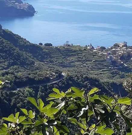 Il Timone Corniglia