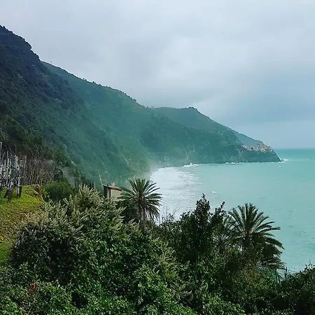 舵旅馆 招待所 *