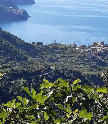 Il Timone Corniglia